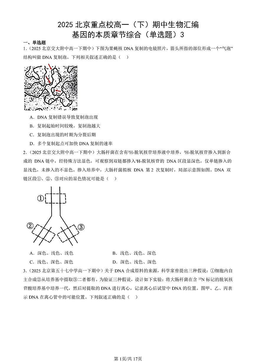 2025北京重点校高一（下）期中生物汇编(试题)：基因的本质章节综合（单选题）3 有答案解析第1页