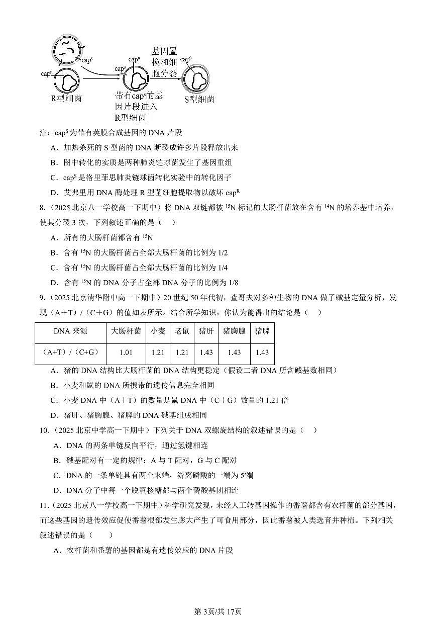 2025北京重点校高一（下）期中生物汇编(试题)：基因的本质章节综合（单选题）3 有答案解析第3页