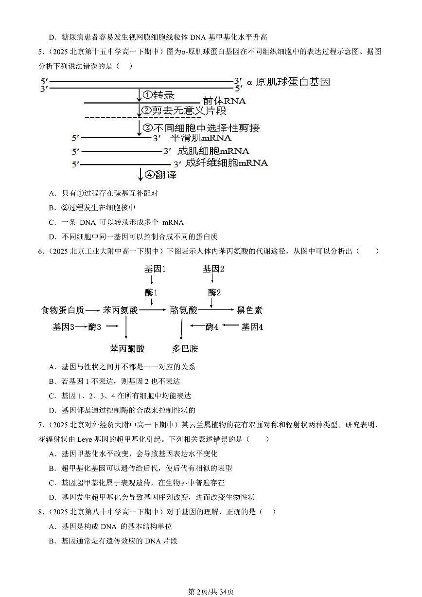 2025北京重点校高一（下）期中生物汇编(试题)：基因的表达与性状关系 有答案解析第2页