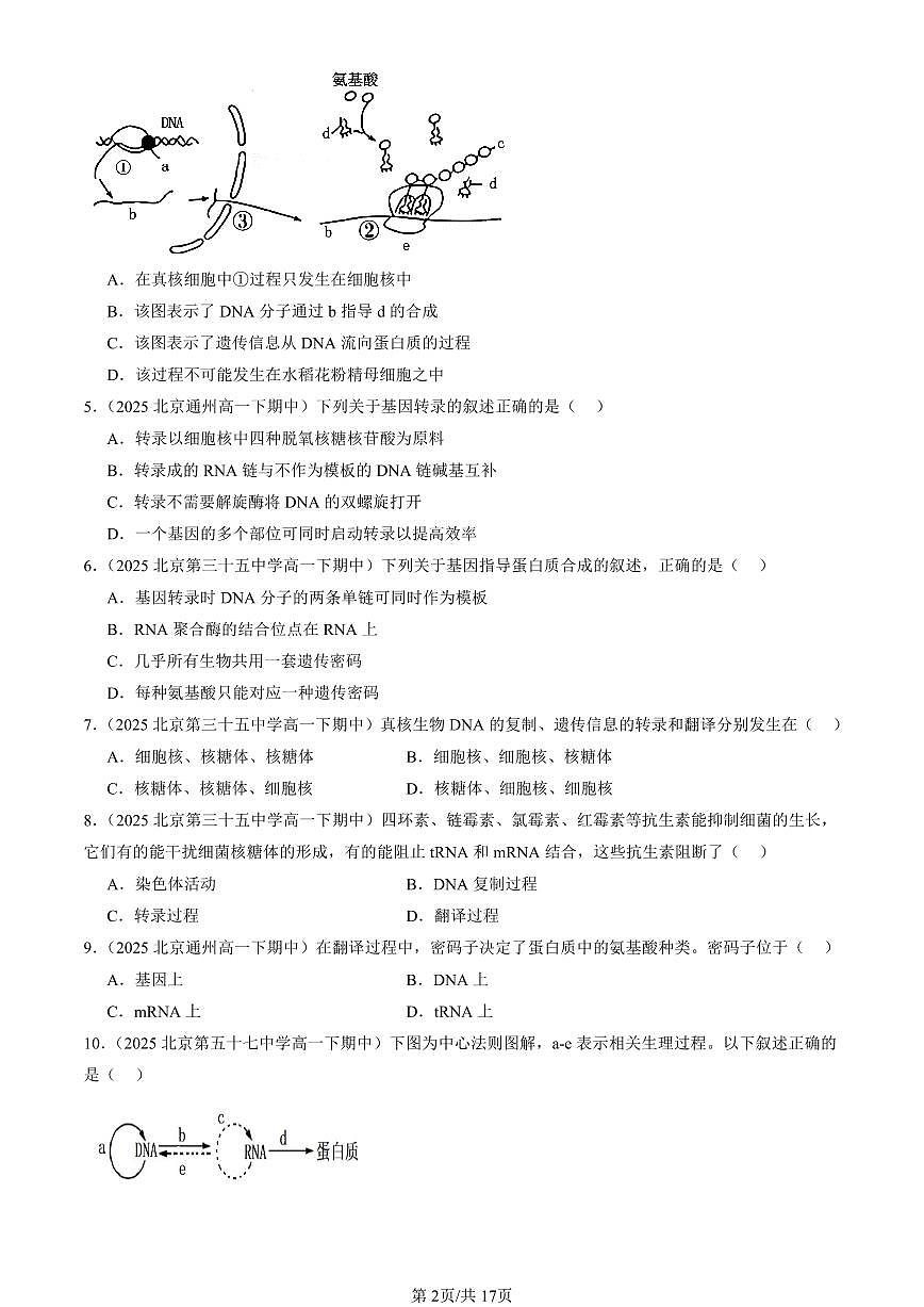 2025北京重点校高一（下）期中生物汇编(试题)：基因的表达章节综合（单选题）1 有答案解析第2页