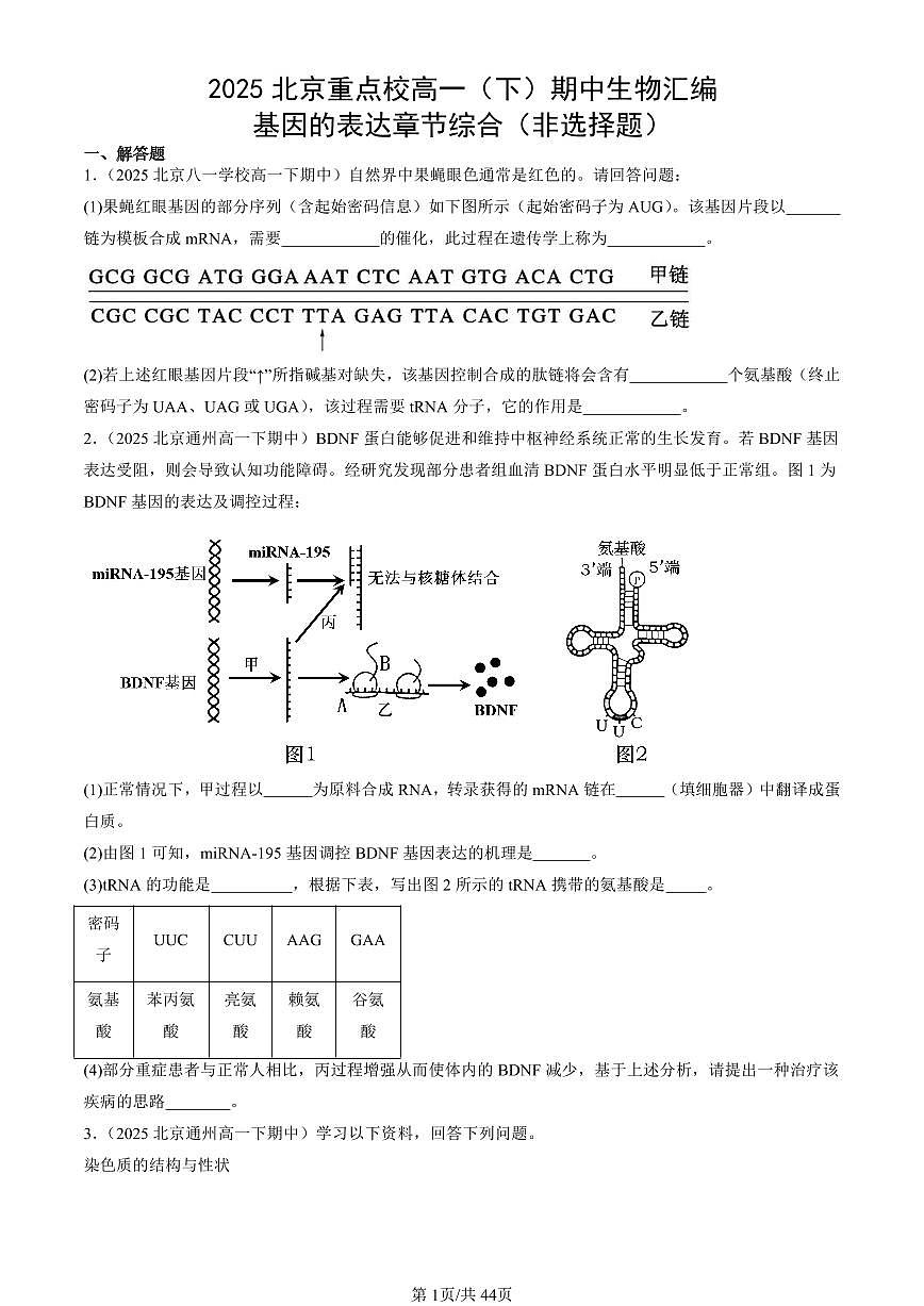 2025北京重点校高一（下）期中生物汇编(试题)：基因的表达章节综合（非选择题） 有答案解析第1页