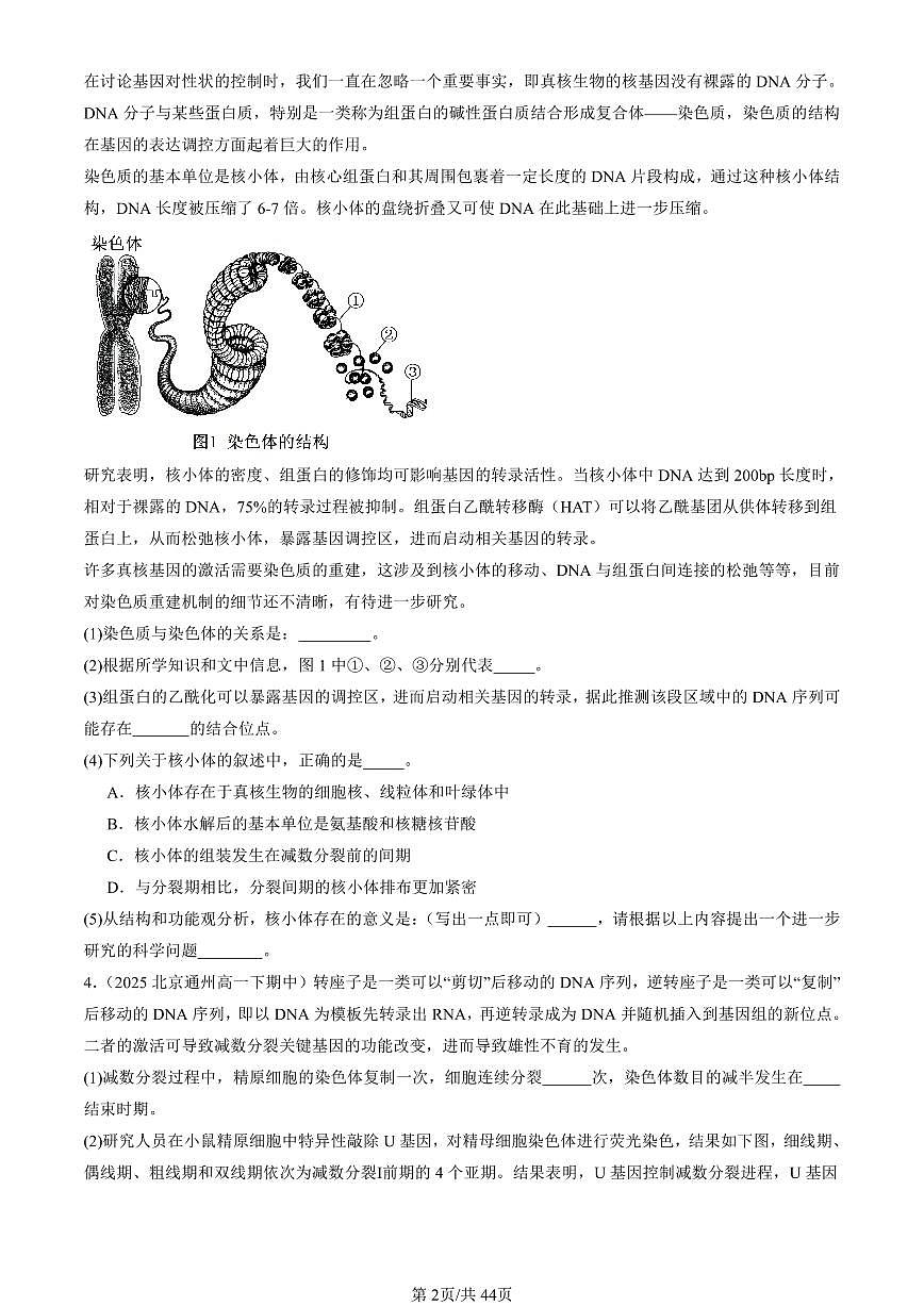 2025北京重点校高一（下）期中生物汇编(试题)：基因的表达章节综合（非选择题） 有答案解析第2页