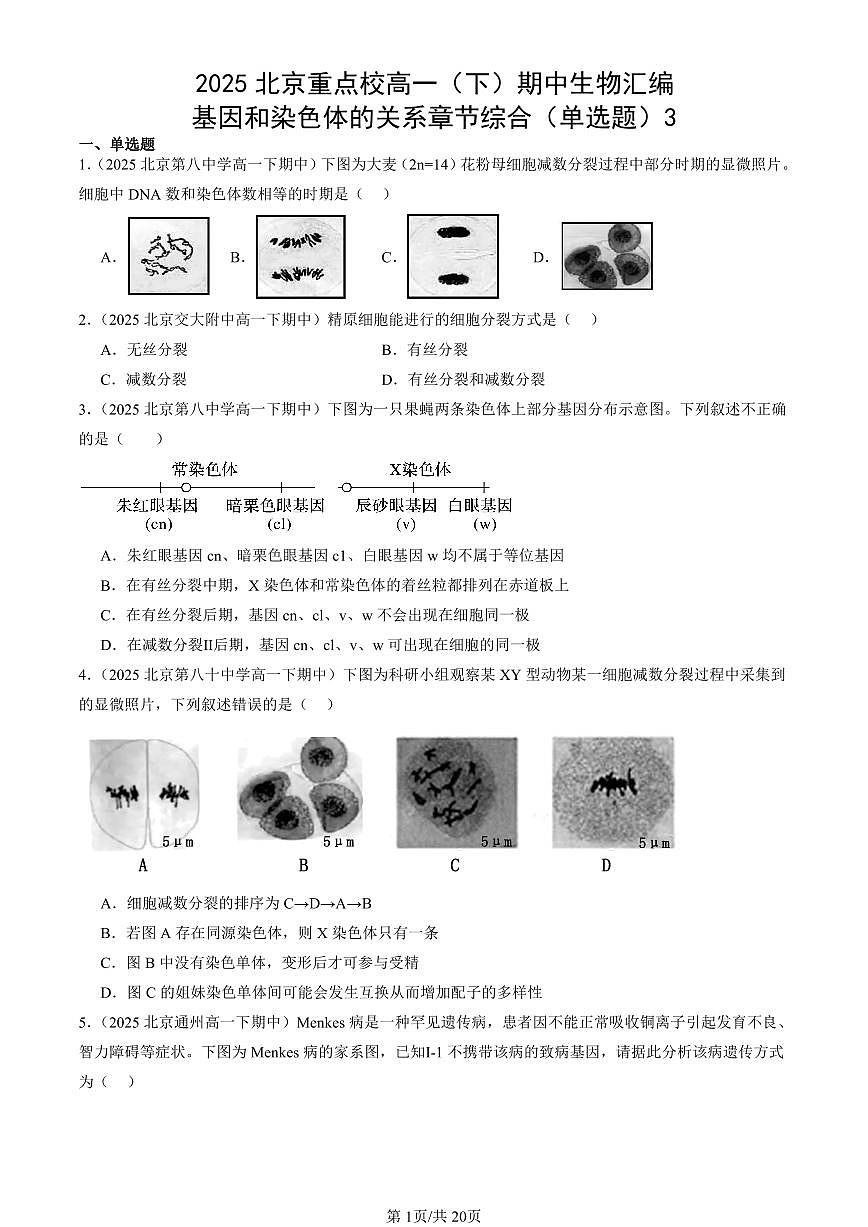 2025北京重点校高一（下）期中生物汇编(试题)：基因和染色体的关系章节综合（单选题）3 有答案解析第1页