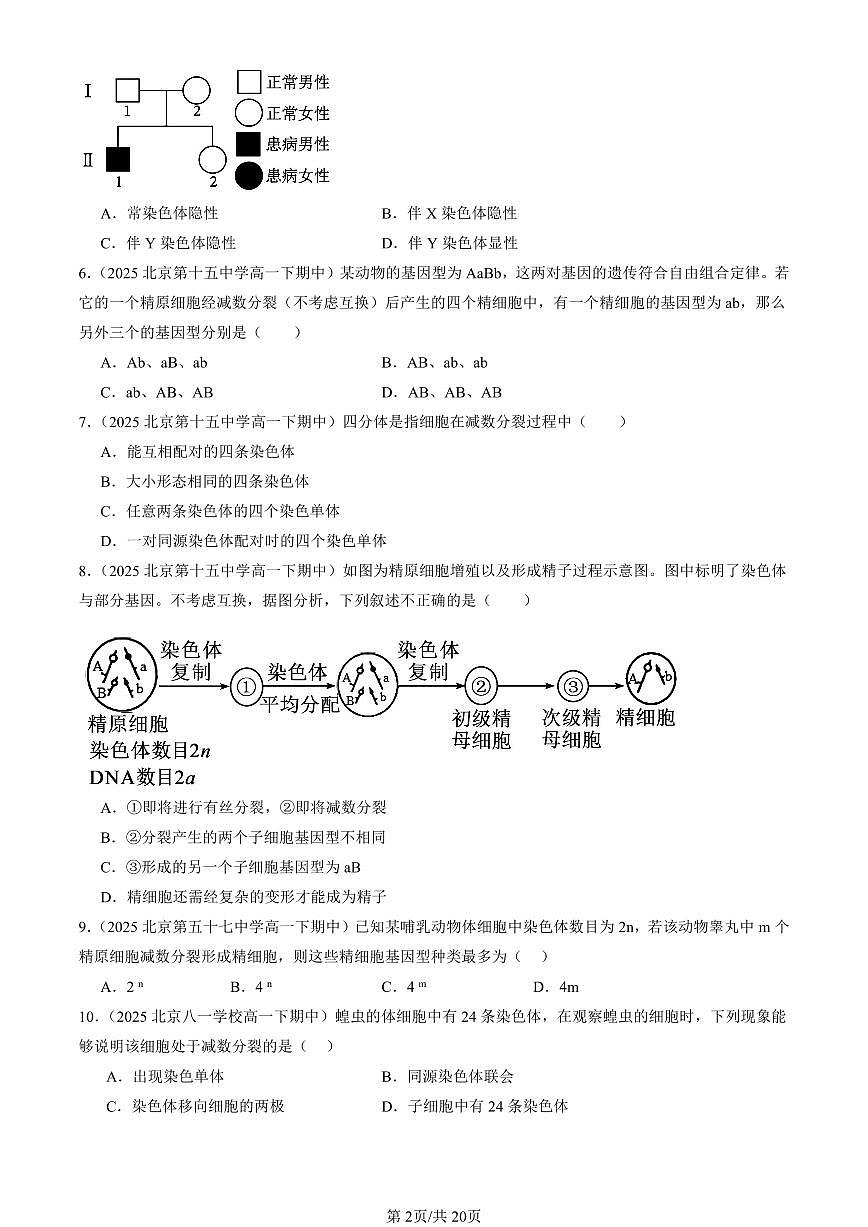 2025北京重点校高一（下）期中生物汇编(试题)：基因和染色体的关系章节综合（单选题）3 有答案解析第2页