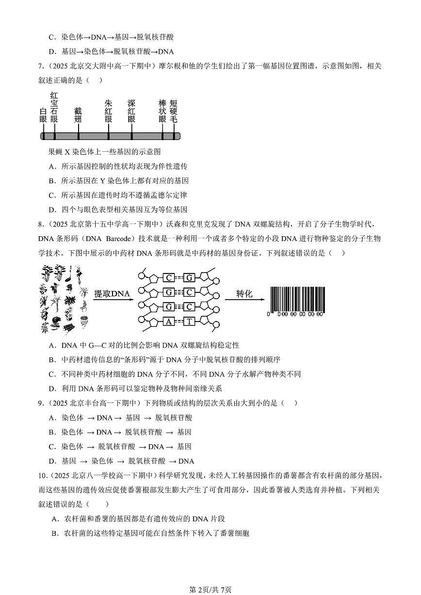 2025北京重点校高一（下）期中生物汇编(试题)：基因通常是有遗传效应的DNA片段 有答案解析第2页