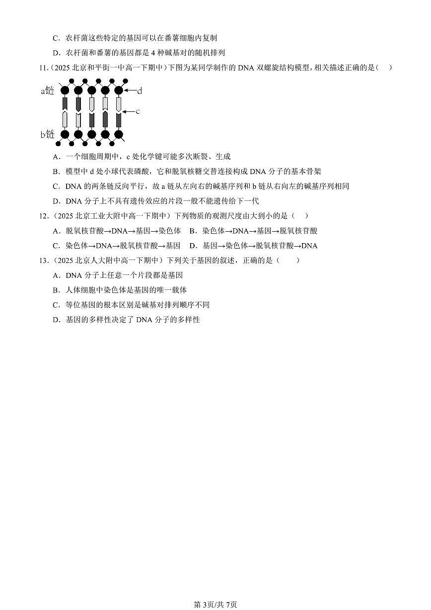2025北京重点校高一（下）期中生物汇编(试题)：基因通常是有遗传效应的DNA片段 有答案解析第3页