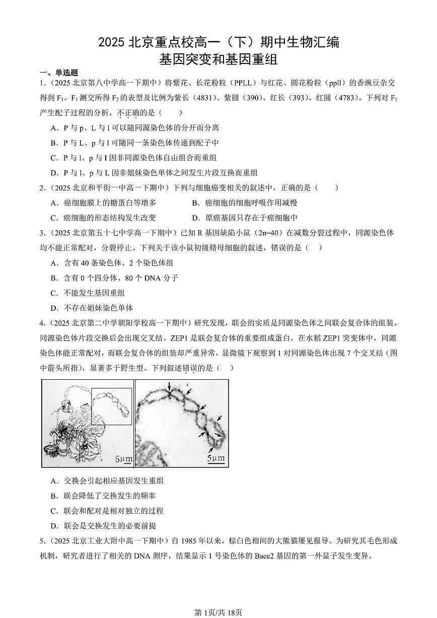 2025北京重点校高一（下）期中生物汇编(试题)：基因突变和基因重组 有答案解析第1页