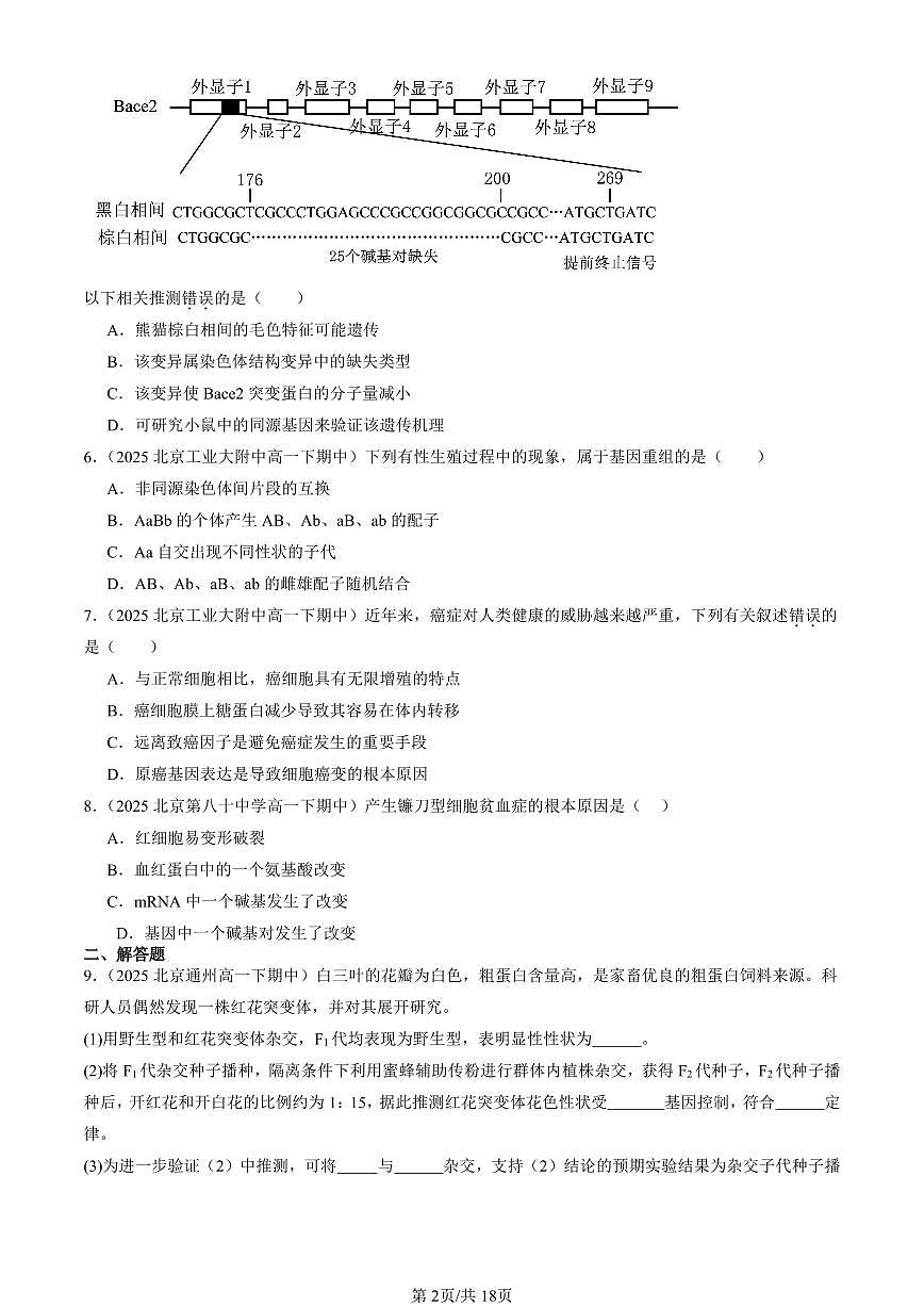 2025北京重点校高一（下）期中生物汇编(试题)：基因突变和基因重组 有答案解析第2页