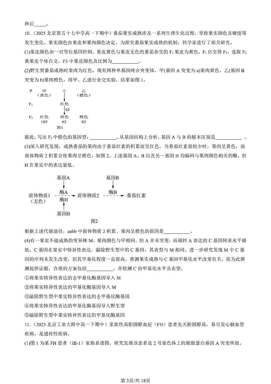 2025北京重点校高一（下）期中生物汇编(试题)：基因突变和基因重组 有答案解析第3页