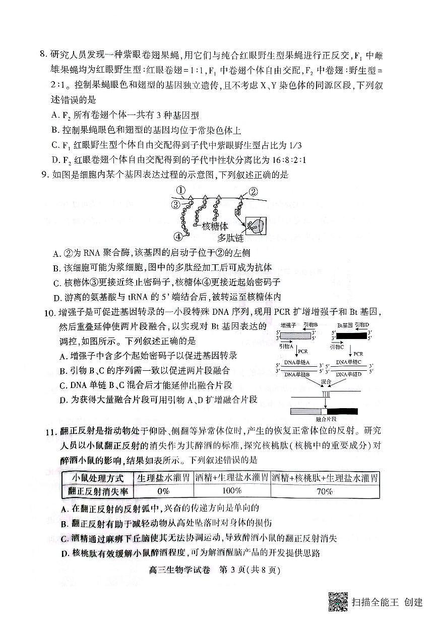 湖北省荆州市2026届高三上学期9月起点考试生物试题第3页