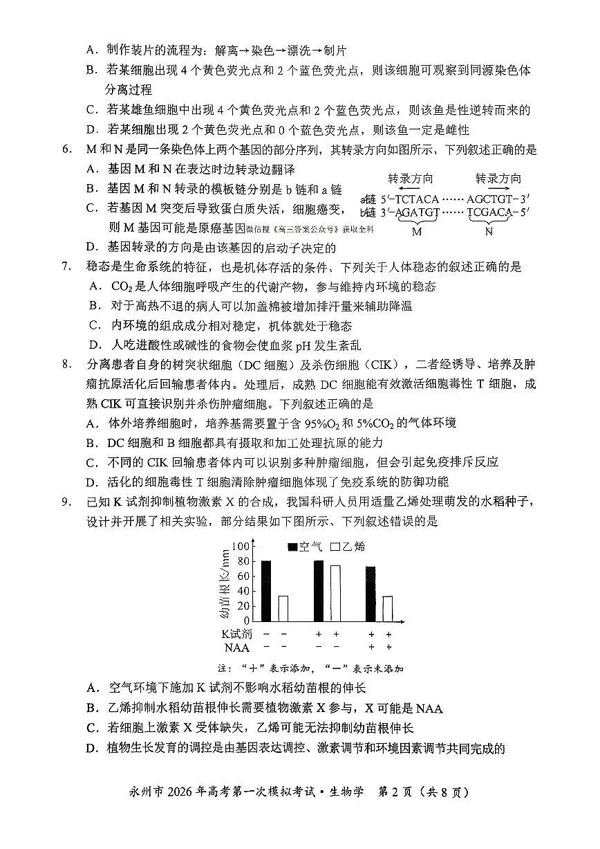 湖南省永州市2026届高三上学期9月第一次模拟考试生物试题及答案第2页
