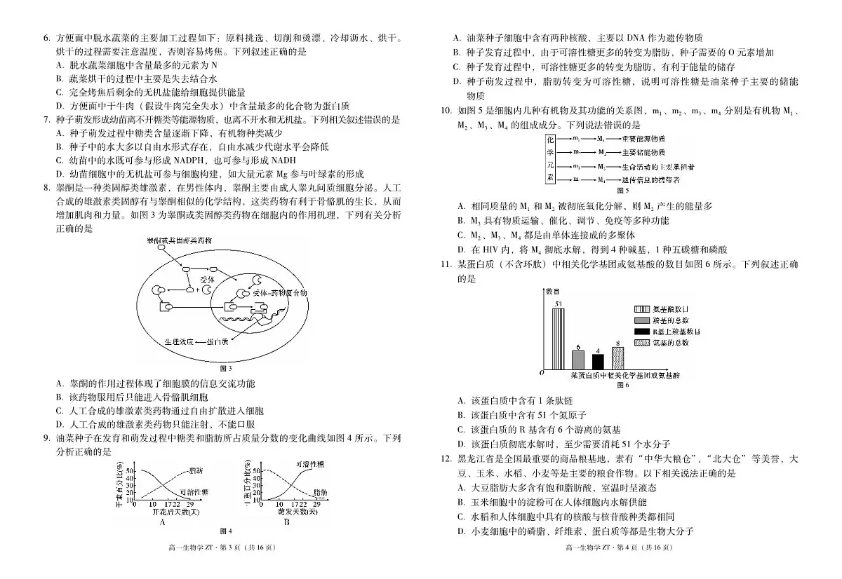 云南省昭通市第一中学2024-2025学年高一下学期2月开学考试试题生物试卷+答案第2页