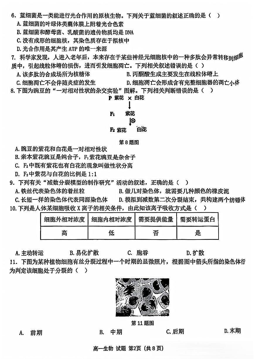 浙江省精诚联盟2024-2025学年高一下学期3月月考生物试卷+答案第2页