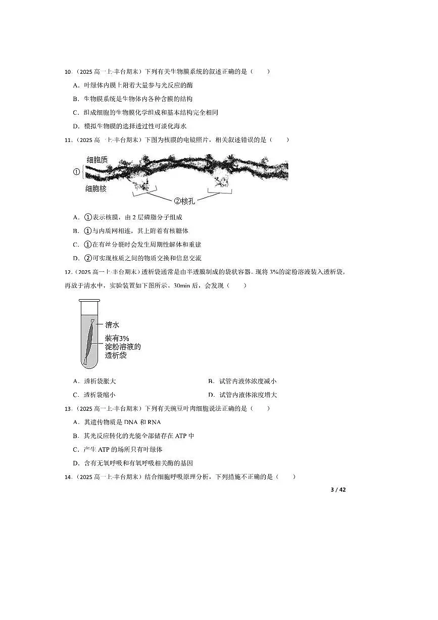 2024～2025学年北京市丰台区高一上期末生物试卷第3页