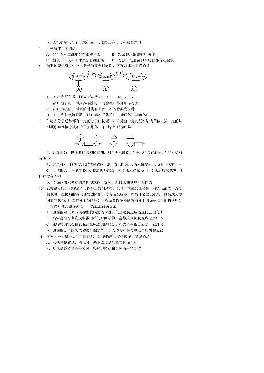 2024～2025学年北京市延庆区高一上生物选科测试试卷(无答案,)第2页