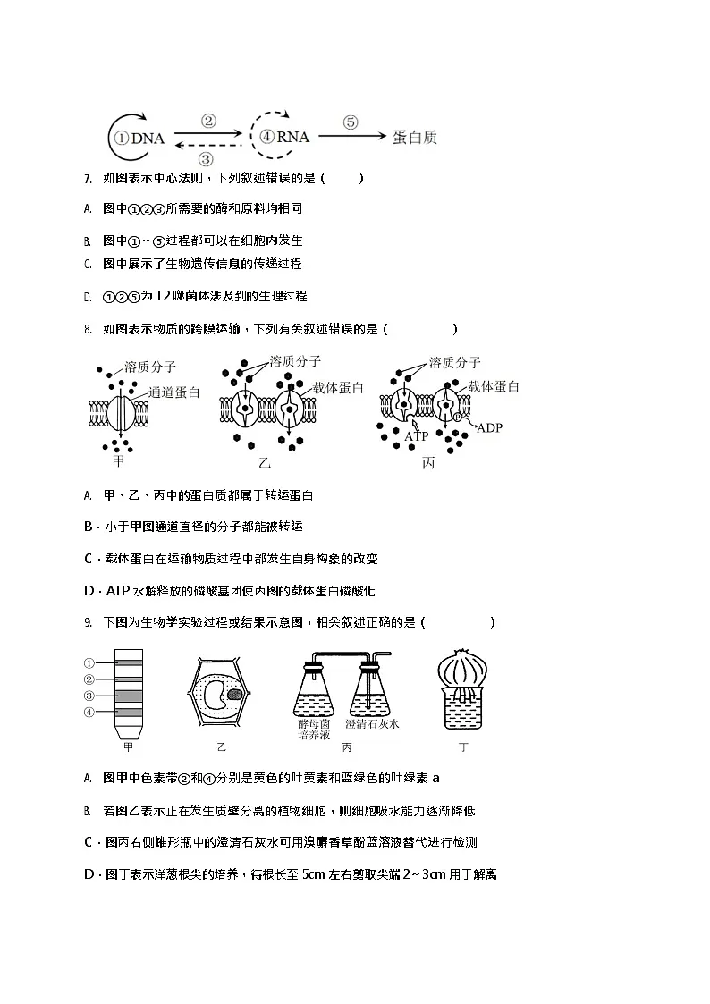 广东省阳江三中2025-2026学年度第一学期高二9月开学考试生物试卷第3页