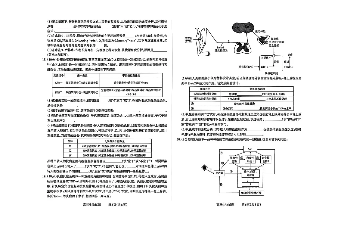 山西省长治市2025-2026学年高三上学期9月月考生物试卷第3页
