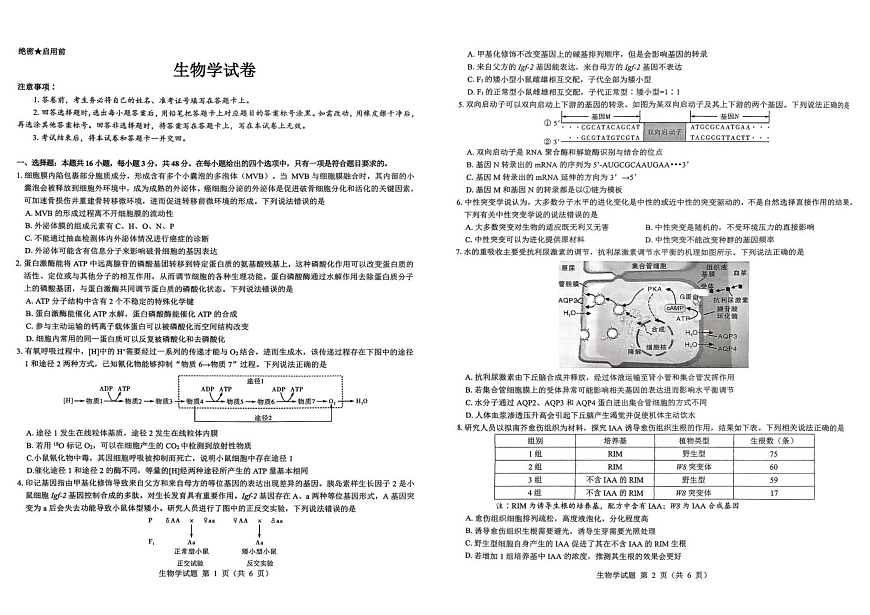 陕西省西安市新城区2025-2026学年高三上学期高考一模生物试卷第1页