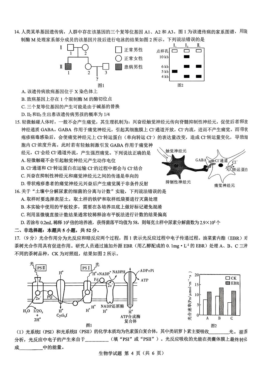 陕西省西安市新城区2025-2026学年高三上学期高考一模生物试卷第3页