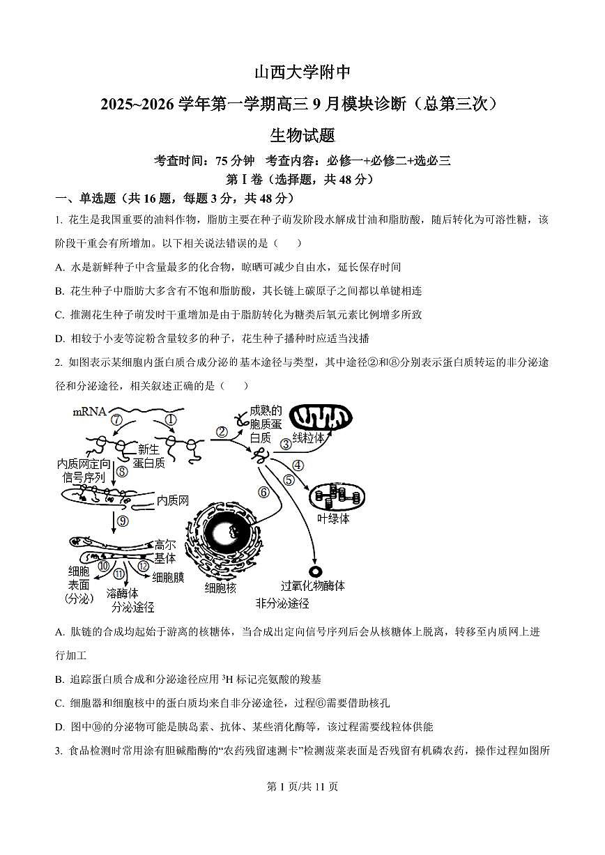 山西省太原市山西大学附中2026届高三上学期9月模块诊断生物试题+答案第1页