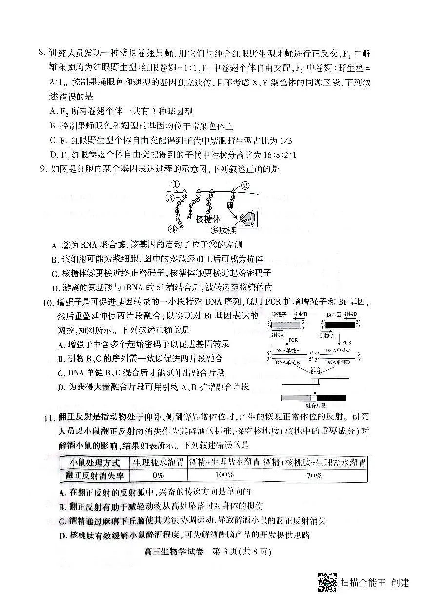 2026荆州高三上学期9月起点考试生物PDF版无答案第3页