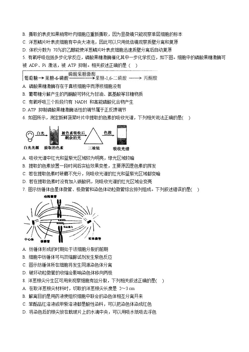 2026扬州高邮高三上学期期初学情调研测试生物含答案第2页
