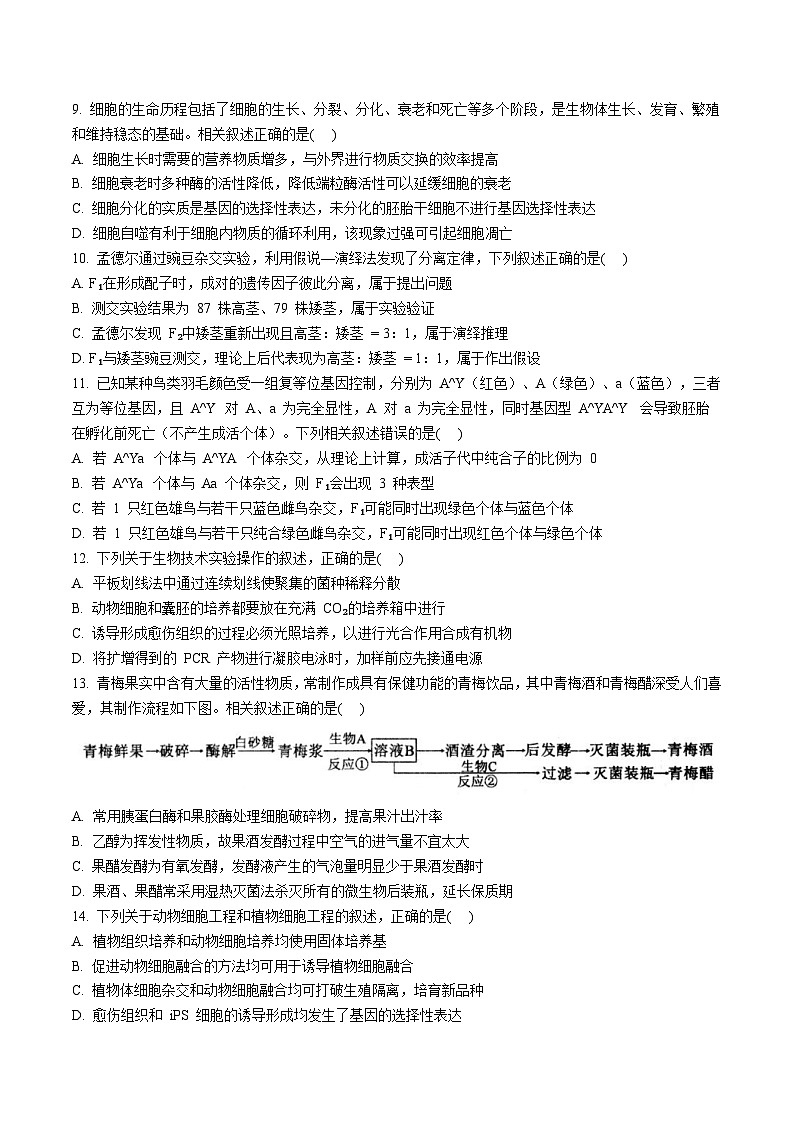 2026扬州高邮高三上学期期初学情调研测试生物含答案第3页