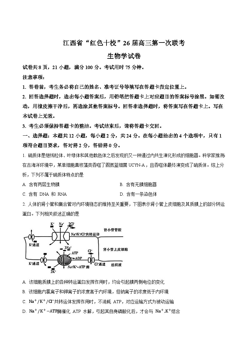 2026江西省“红色十校”高三第一次联考试题生物含答案第1页