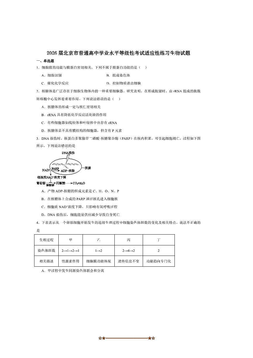 2026届北京市普通高中学业水平等级性考试适应性练习生物试卷(含答案)第1页