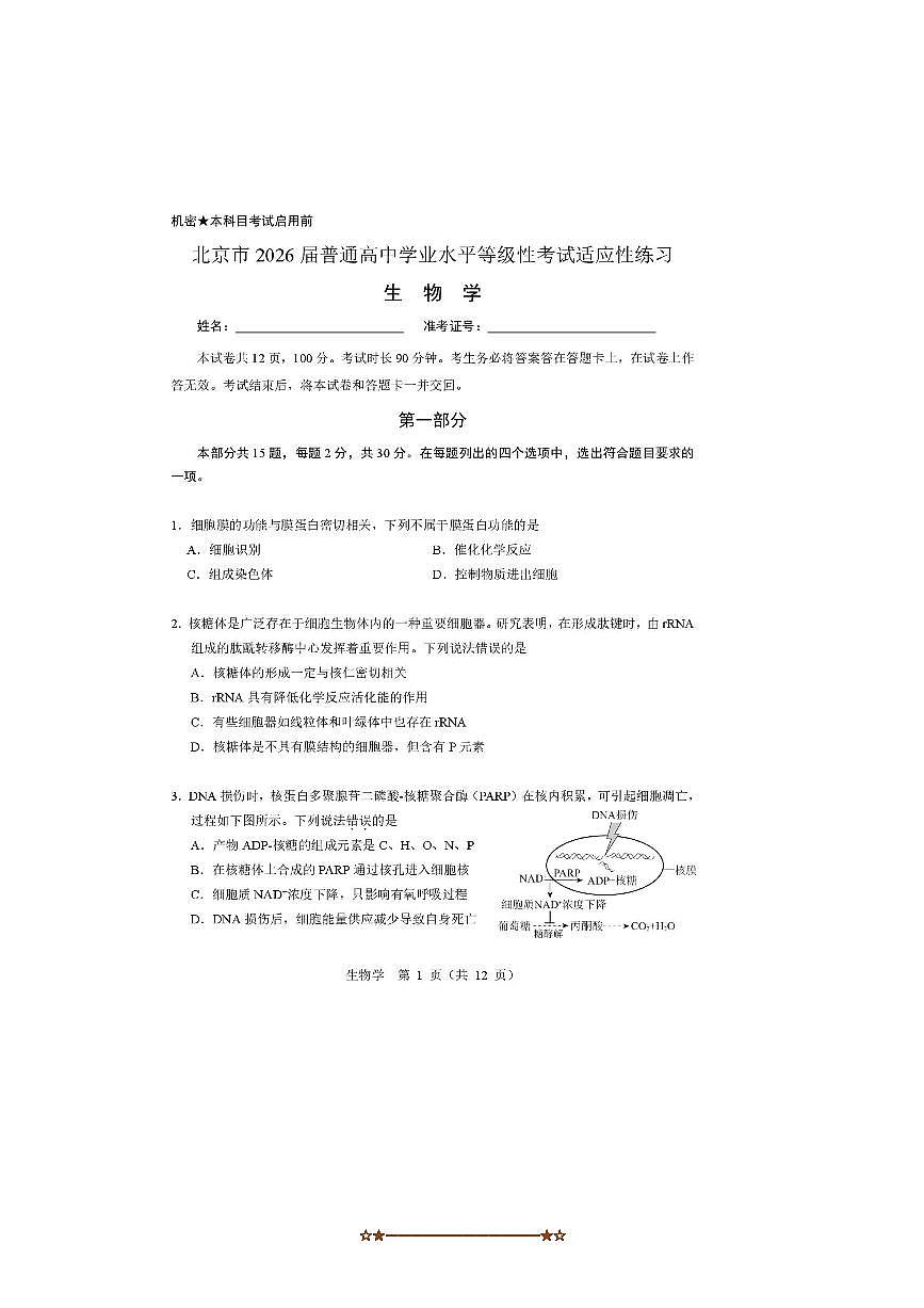 2026届北京市普通高中学业水平等级性考试适应性练习(生物)试卷(无答案)第1页