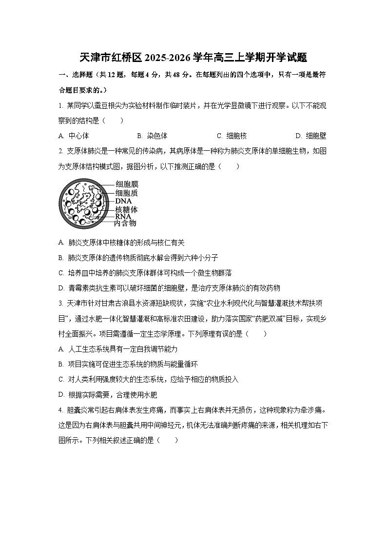 天津市红桥区2025-2026学年高三上学期开学生物试卷（学生版）第1页