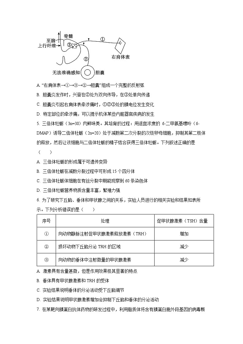 天津市红桥区2025-2026学年高三上学期开学生物试卷（学生版）第2页