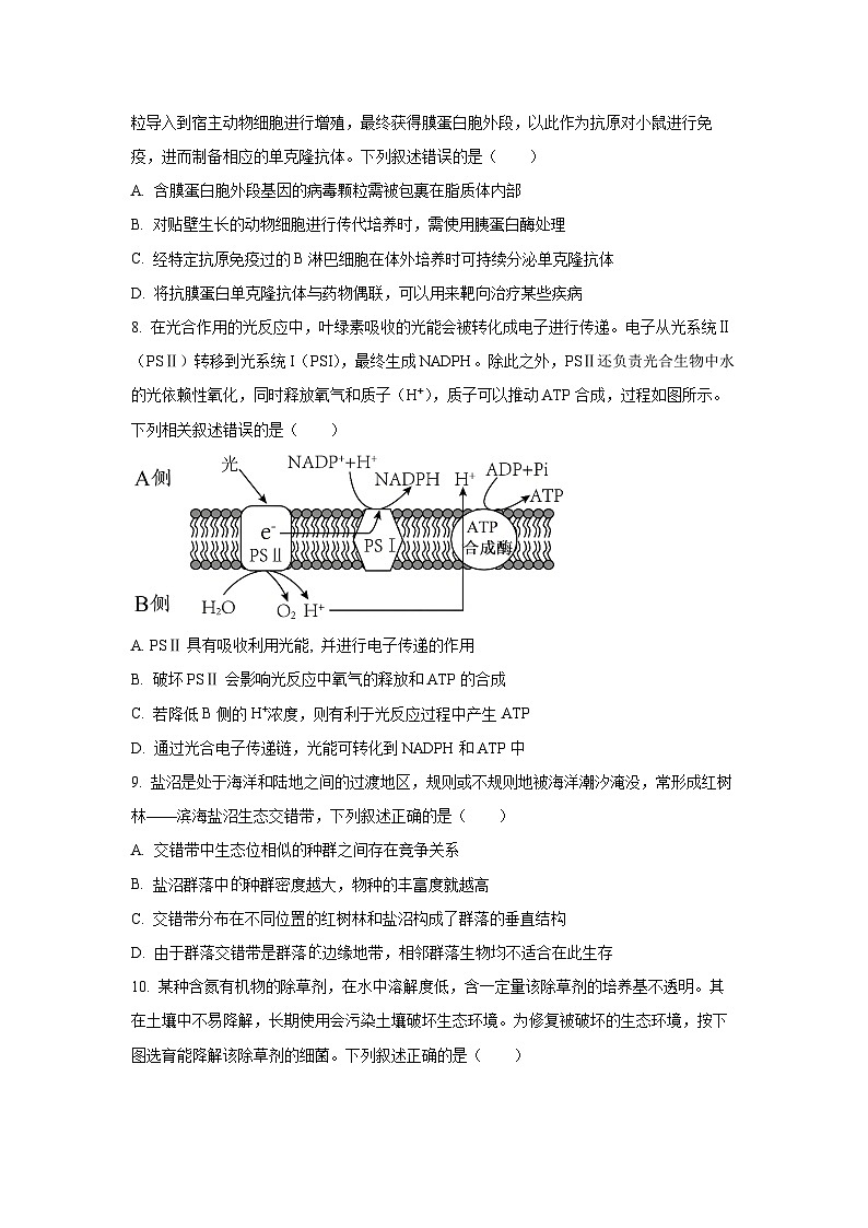 天津市红桥区2025-2026学年高三上学期开学生物试卷（学生版）第3页