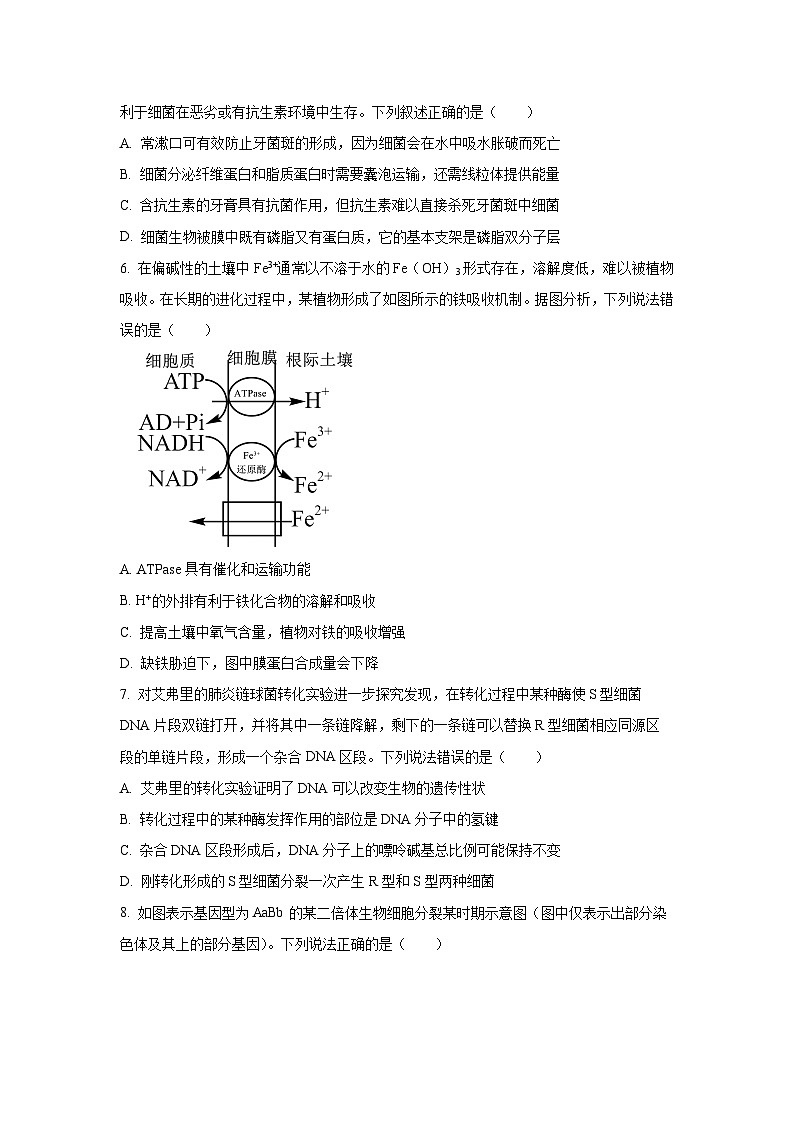 天津市西青区2024-2025学年高三上学期期末生物试卷（学生版）第2页