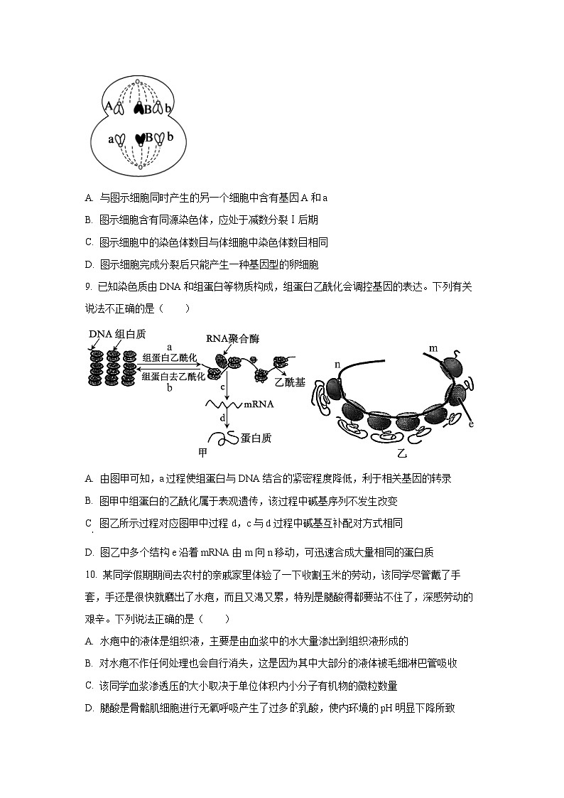 天津市西青区2024-2025学年高三上学期期末生物试卷（学生版）第3页