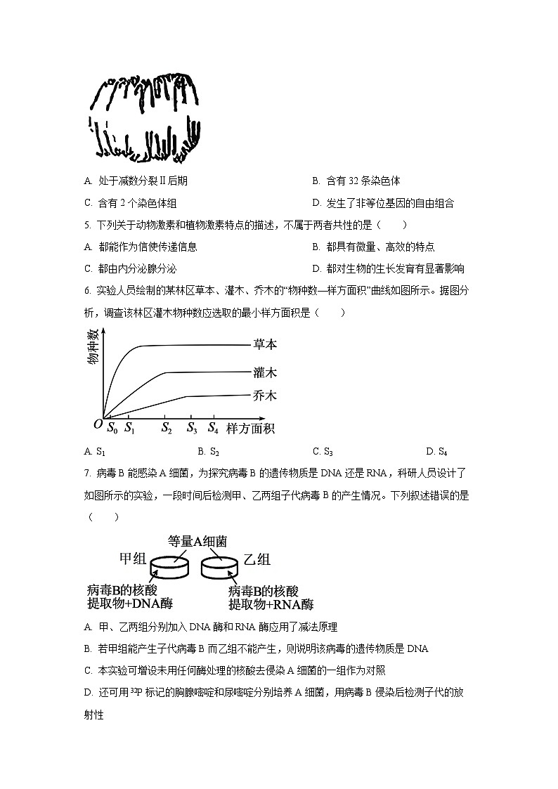 重庆市2025-2026学年高三上学期9月开学考试生物试卷（学生版）第2页