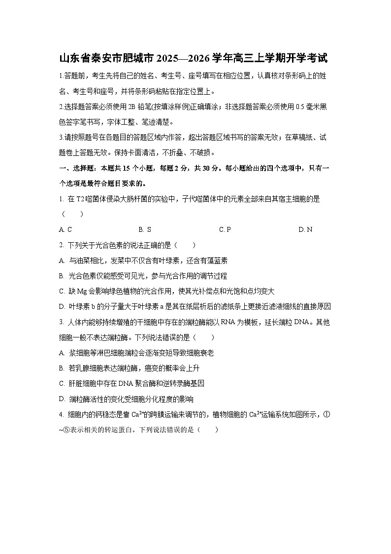 山东省泰安市肥城市2025—2026学年高三上学期开学考试生物试卷（学生版）第1页