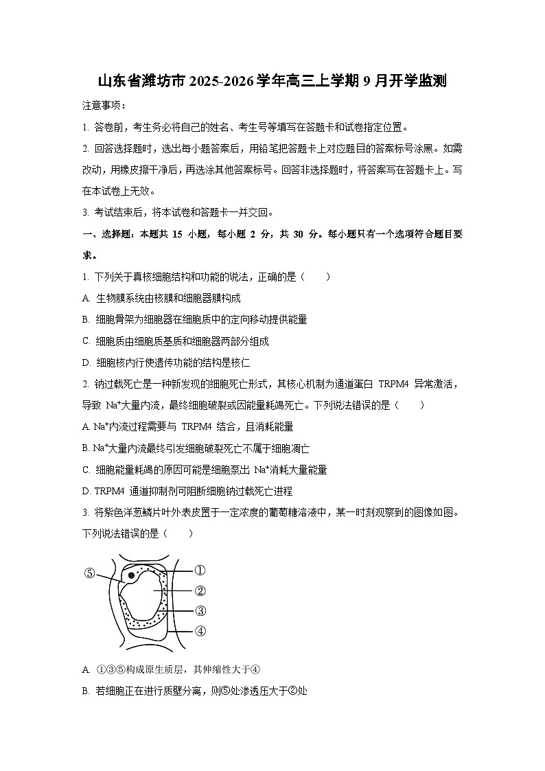 山东省潍坊市2025-2026学年高三上学期9月开学监测生物试卷（学生版）第1页