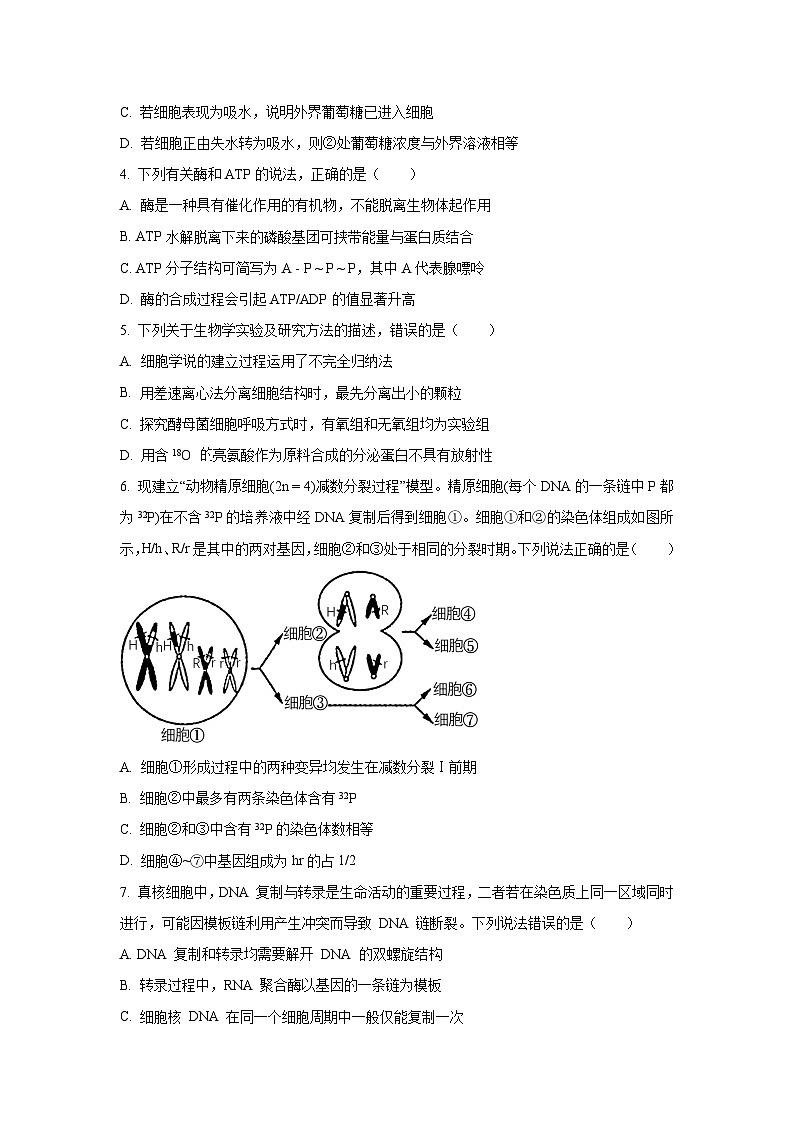 山东省潍坊市2025-2026学年高三上学期9月开学监测生物试卷（学生版）第2页