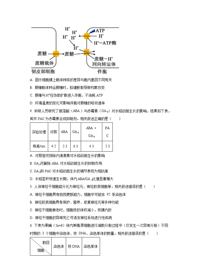 江苏省南通市通州市2025-2026学年高三上学期9月考试生物试卷（学生版）第2页