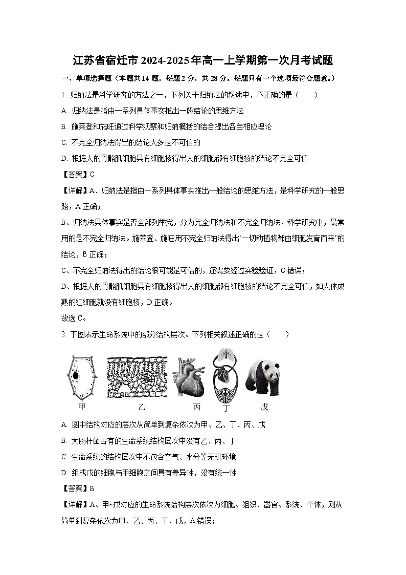 江苏省宿迁市2024-2025年高一上学期第一次月考生物试卷（解析版）第1页