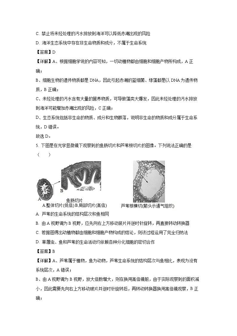 江苏省宿迁市2024-2025年高一上学期第一次月考生物试卷（解析版）第3页