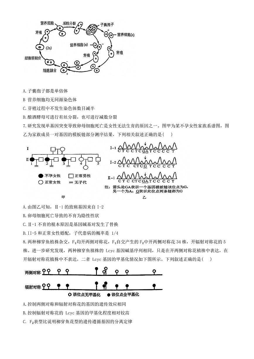 2025北京人大附中高三（上）开学考生物试卷第3页