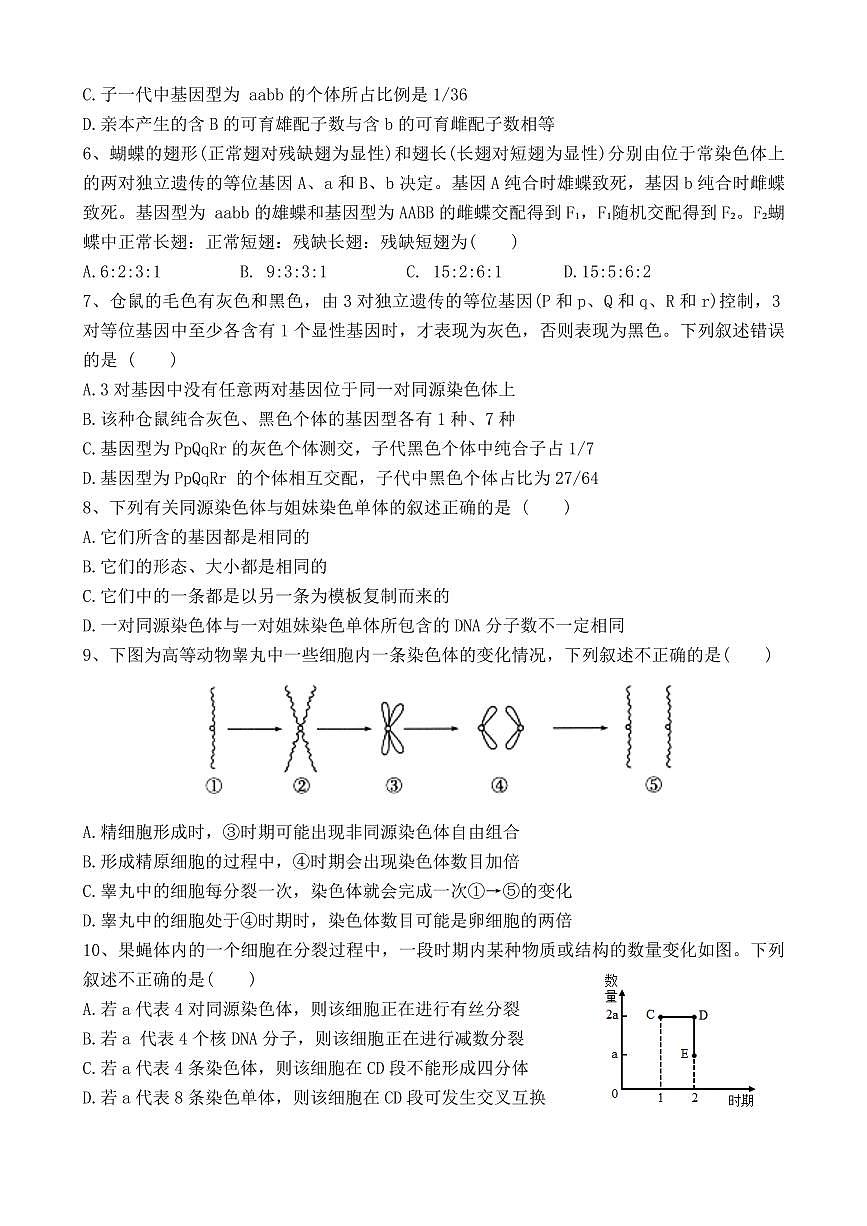 四川省成都市树德中学2024-2025学年高一下学期4月阶段性测试生物试卷第2页