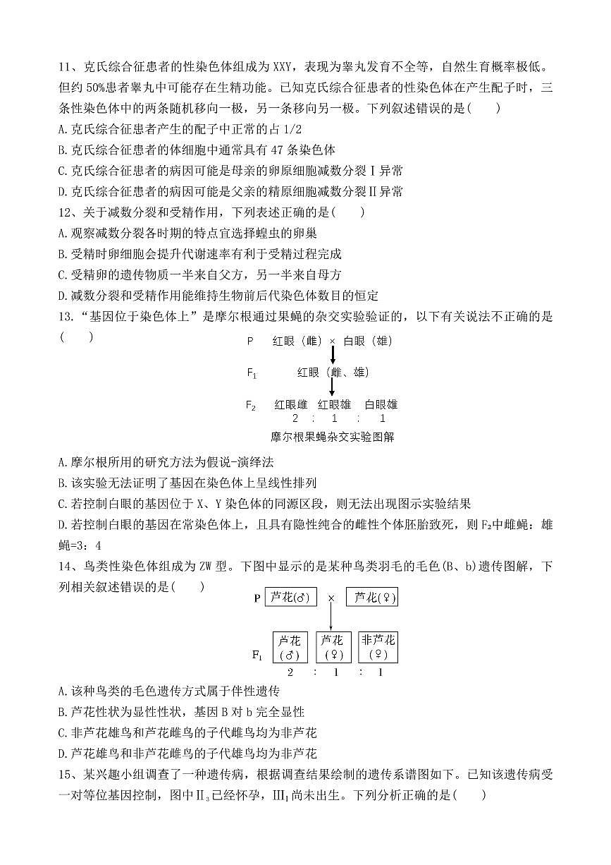 四川省成都市树德中学2024-2025学年高一下学期4月阶段性测试生物试卷第3页