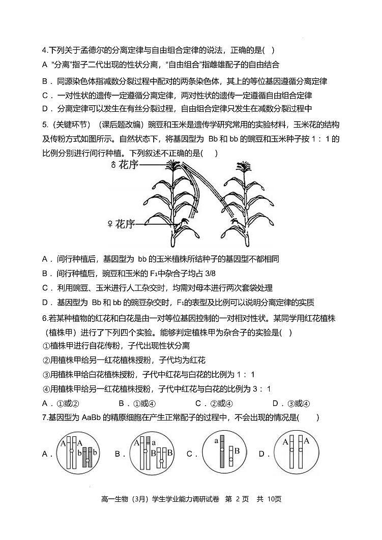 天津市静海区第一中学2024-2025学年高一下学期学生学业能力调研（3月）生物试卷（含答案）第2页