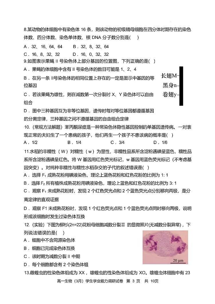 天津市静海区第一中学2024-2025学年高一下学期学生学业能力调研（3月）生物试卷（含答案）第3页