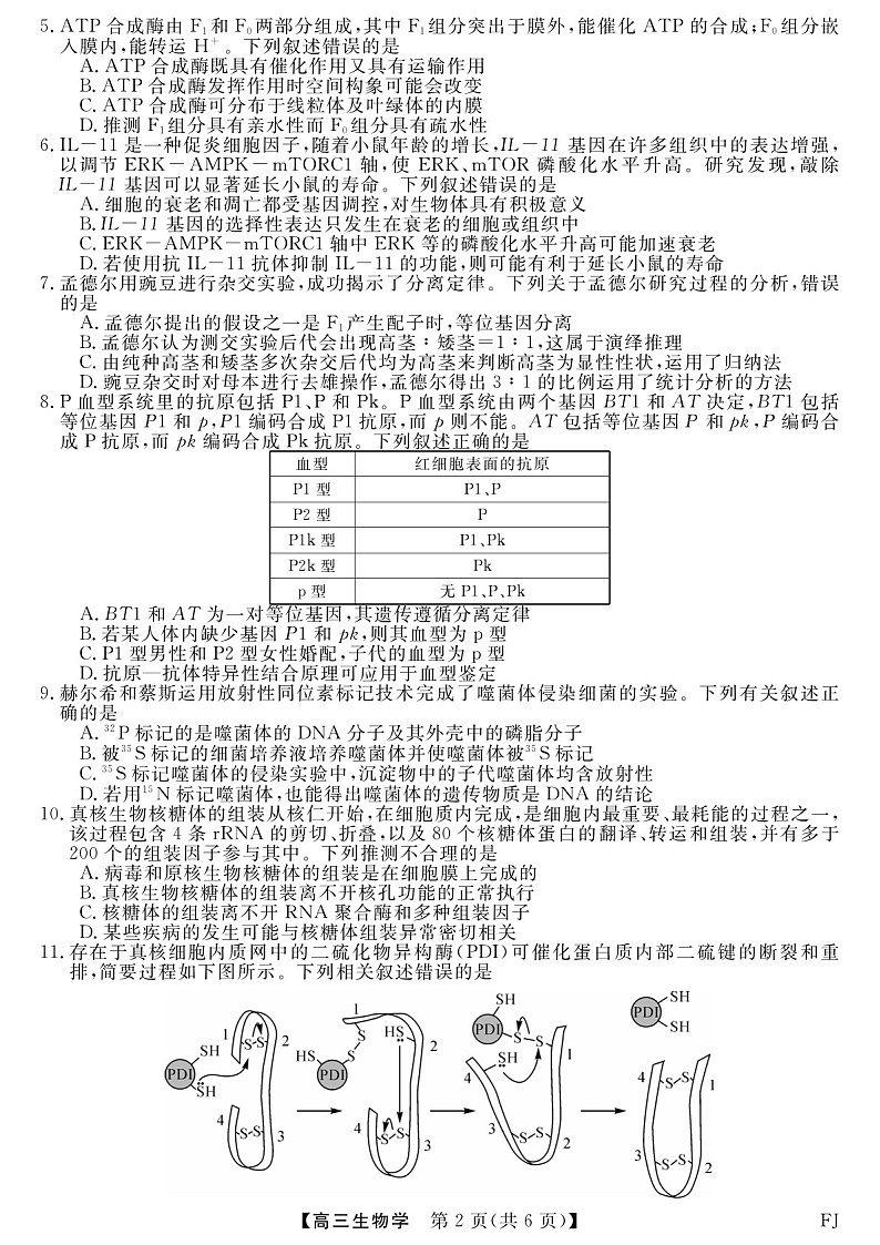 2025届福建省金科大联考高三下学期11月测评-生物试题（含答案）第2页