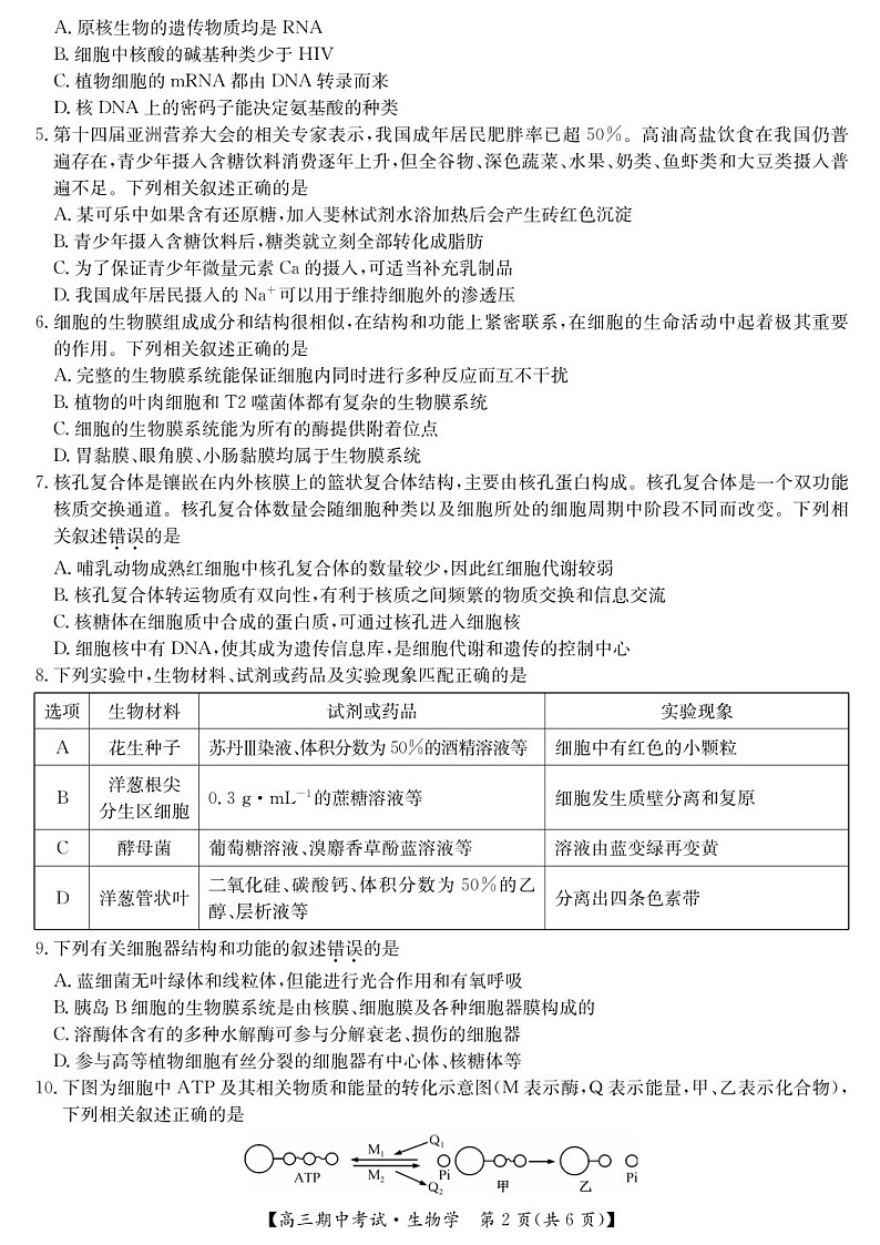 2025届湖北省九师联盟宜昌协作体高三下学期11月考-生物试题（含答案）第2页