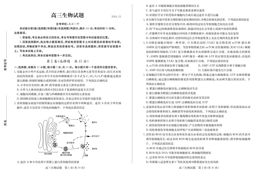 2025届山东省德州市优高联考高三下学期11月期中考-生物试卷（含答案）第1页
